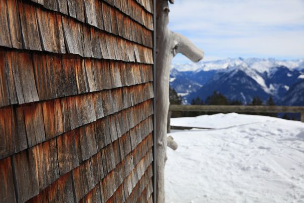 Cedar Siding Repair in Lima
