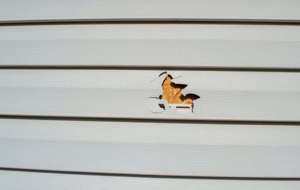 Siding Hole Repair in Lima